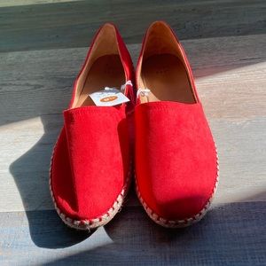 Closet Cleanout Never Worn